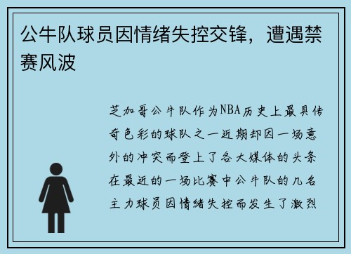 公牛队球员因情绪失控交锋，遭遇禁赛风波